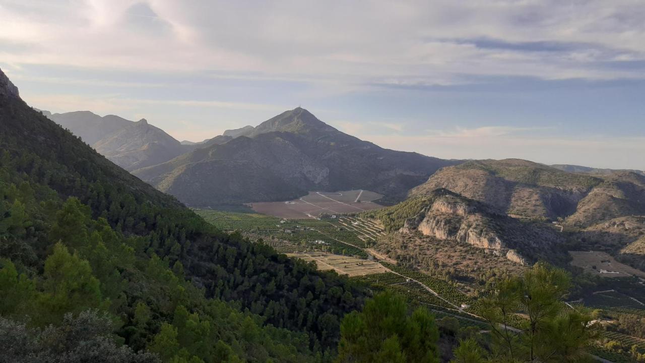 Les Moreres Gandía Esterno foto